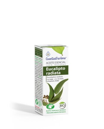 Eucalipto Radiata - BIO