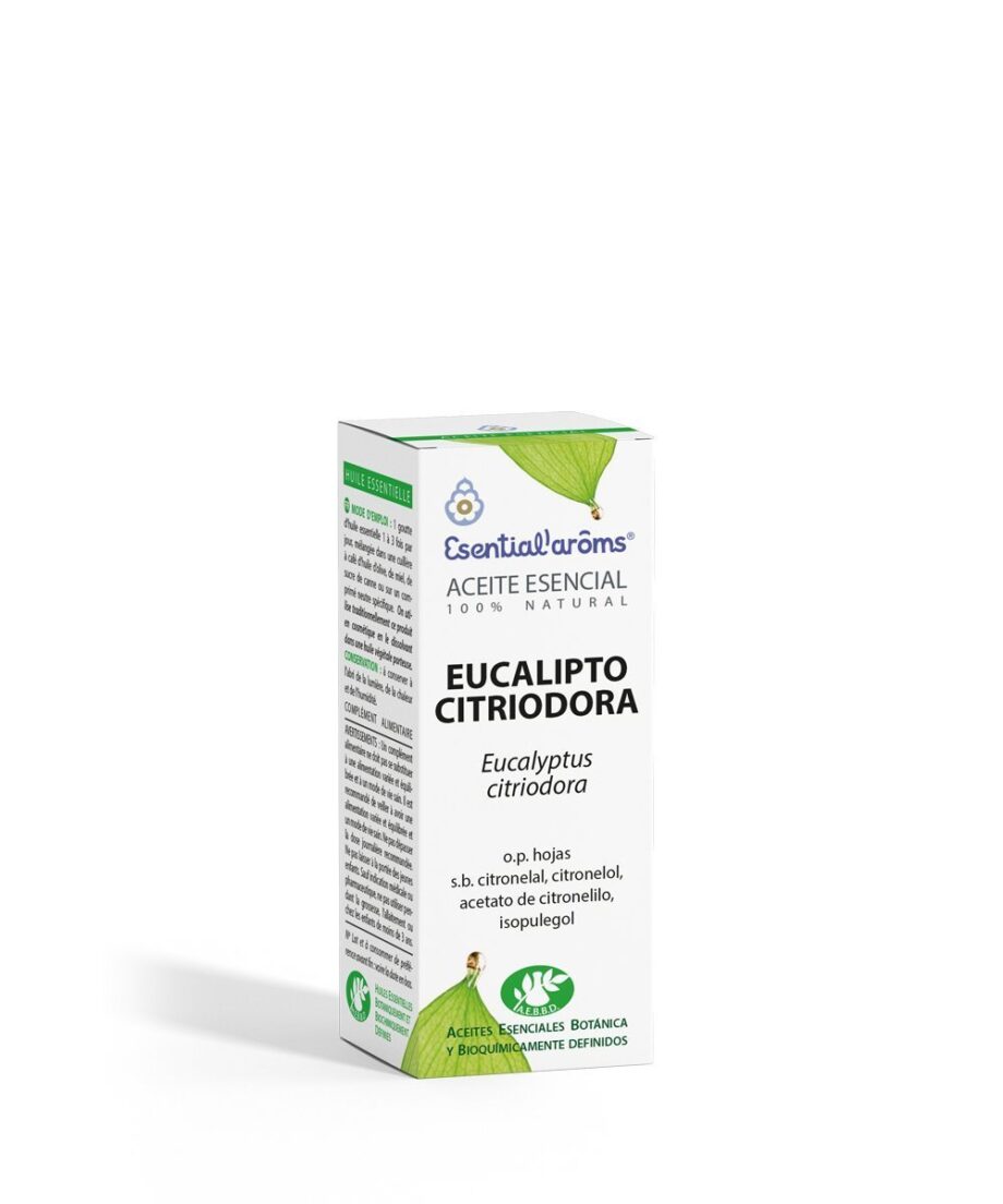 Eucalipto Citriodora