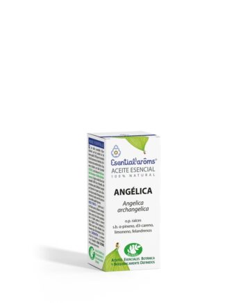 Angélica