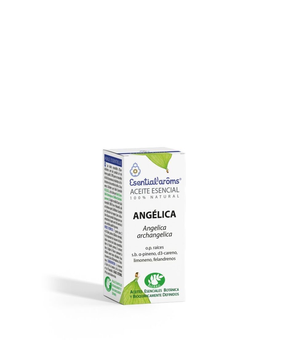 Angélica