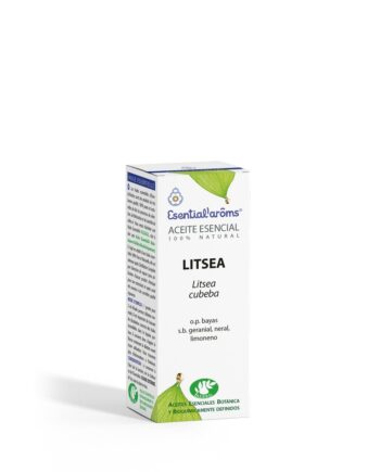 Litsea