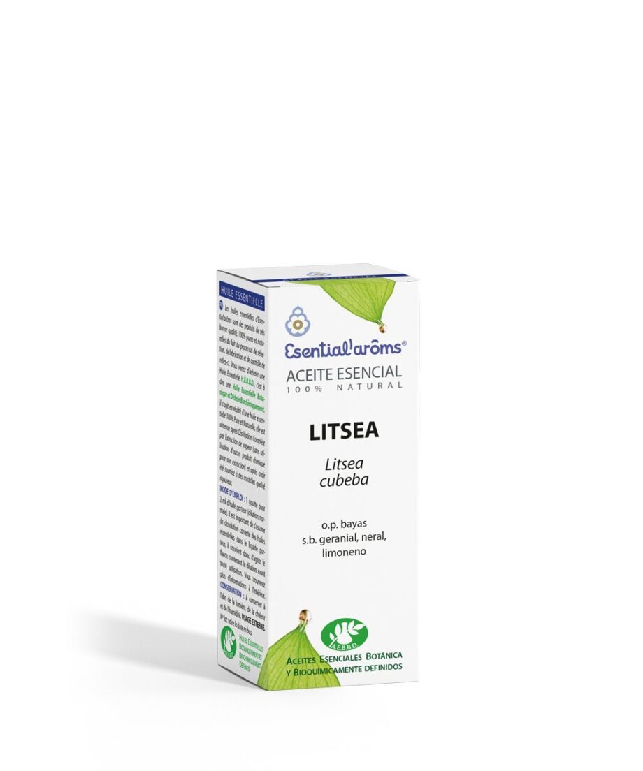 Litsea