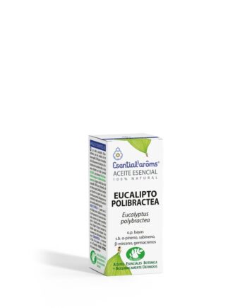 Eucalipto Polibractea