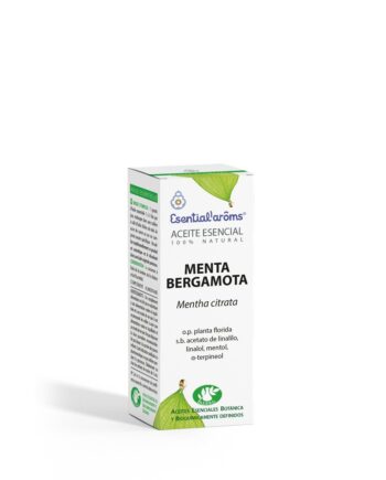 Menta bergamota