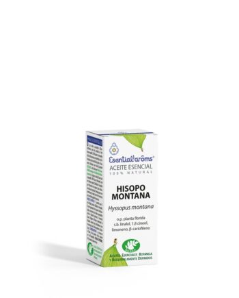 Hisopo montana