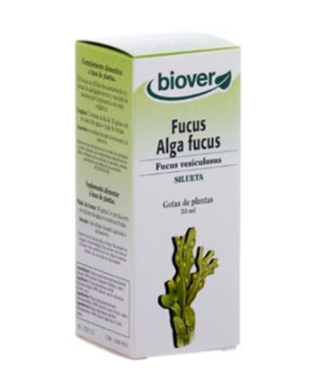 Fucus Vesiculosus