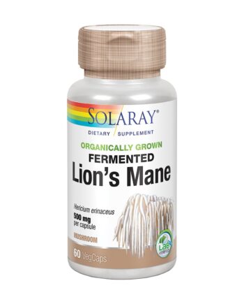 Fermented Lion's Mane