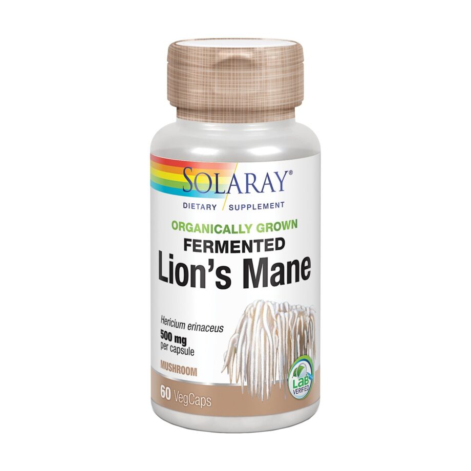 Fermented Lion's Mane