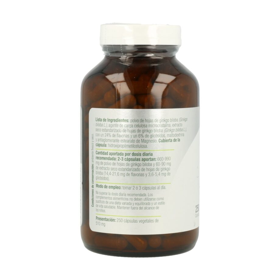 Ginkgo Biloba Plus