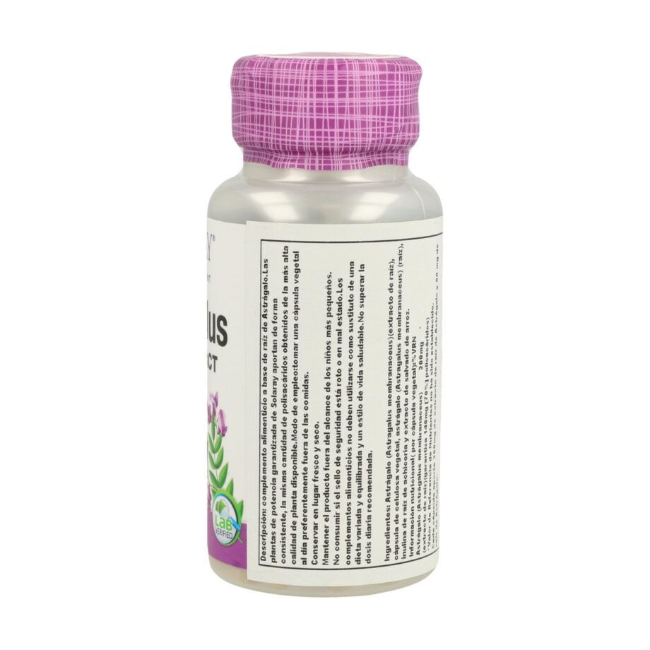 Astragalus