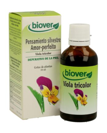 Pensamiento Silvestre (Viola Tricolor)