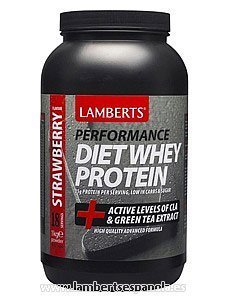 Whey Protein de Dieta.Sabor Fresa 1000 g - 1000 g