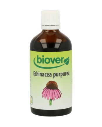 Echinacea Purpurea (Equinacea)