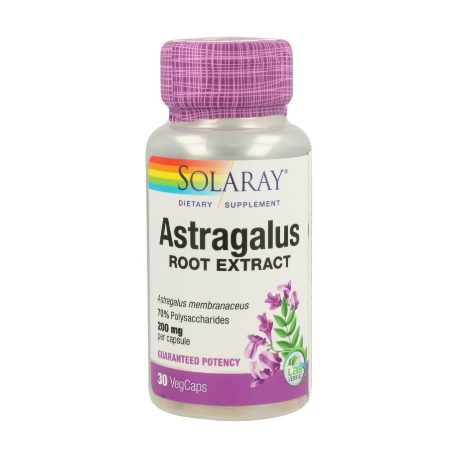 Astragalus
