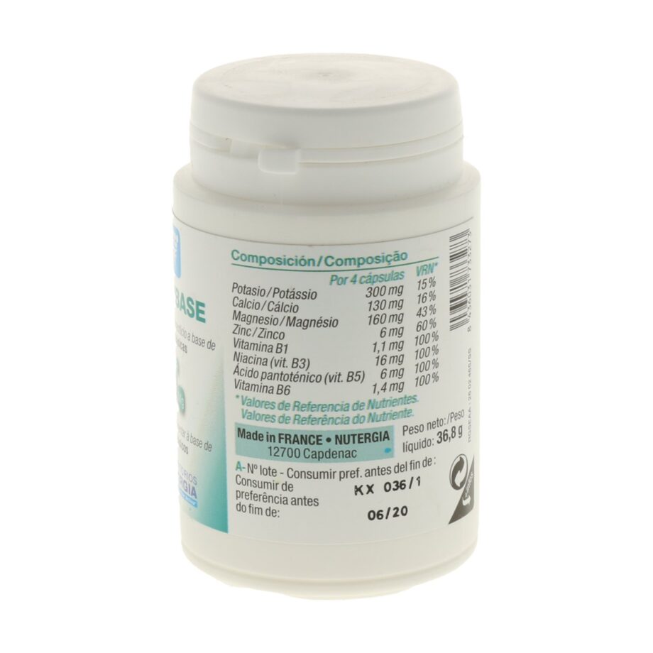 Ergybase