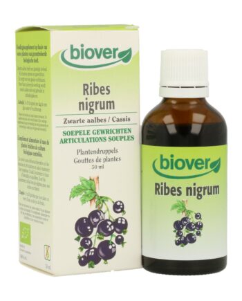Ribes Nigrum (Grosellero Negro)