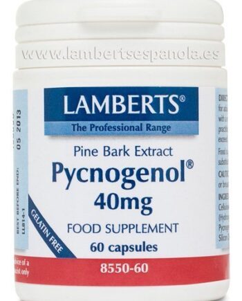 Pycnogenol® 40 mg es un Extracto de Corteza de Pino Marítimo - 60 Cápsulas