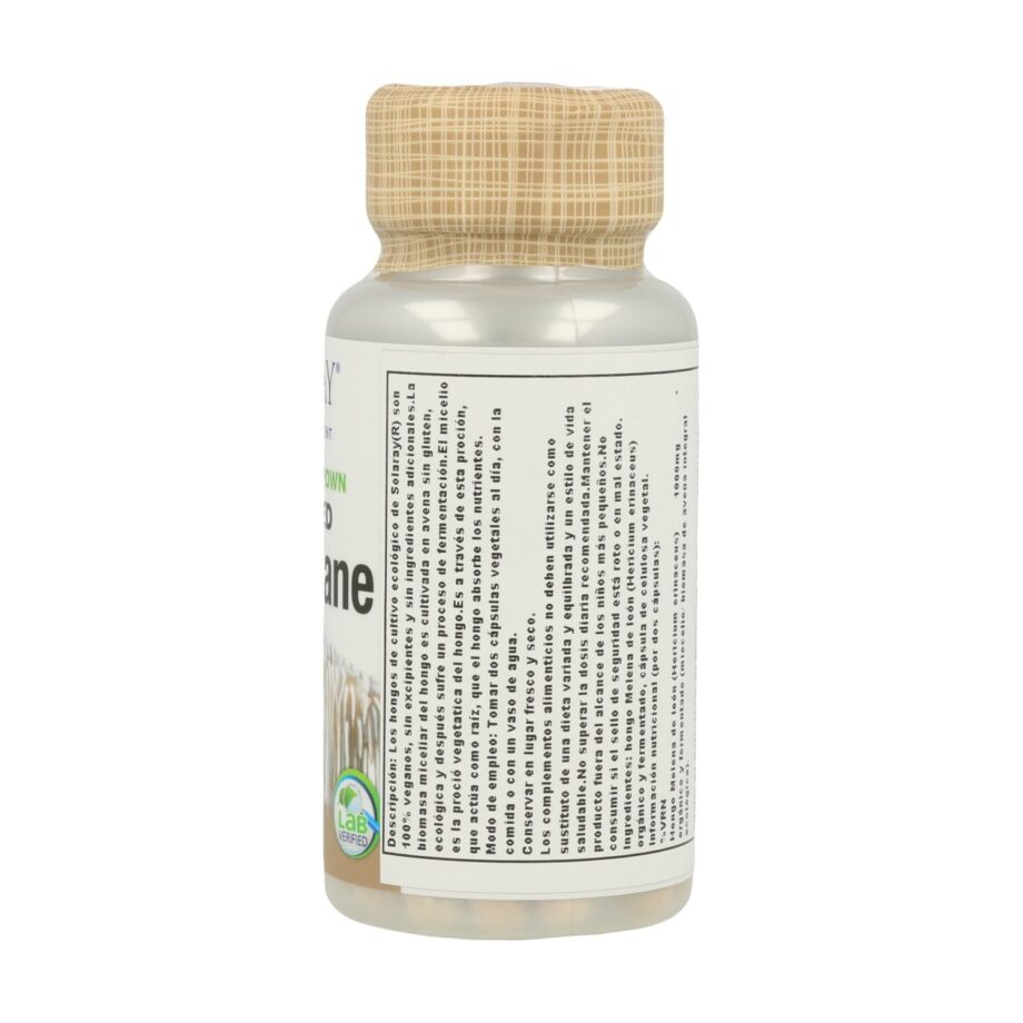 Fermented Lion's Mane