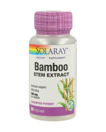 Bamboo