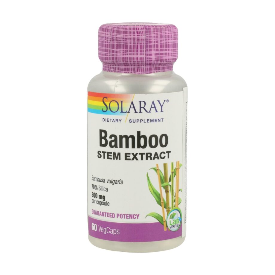 Bamboo