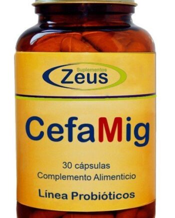 CEFAMIG - ZEUS