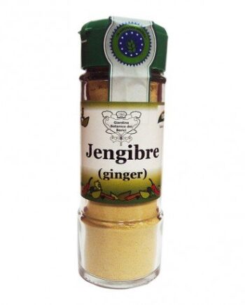Condimento Jengibre polvo Biocop 30 g