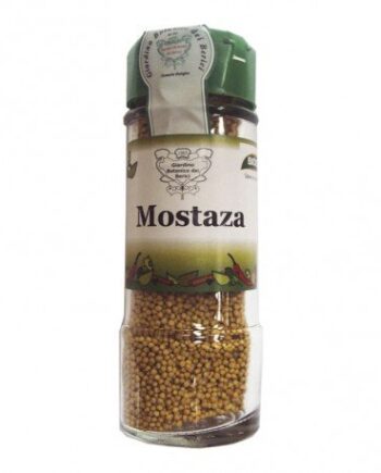 Condimento Mostaza grano Biocop 60 g