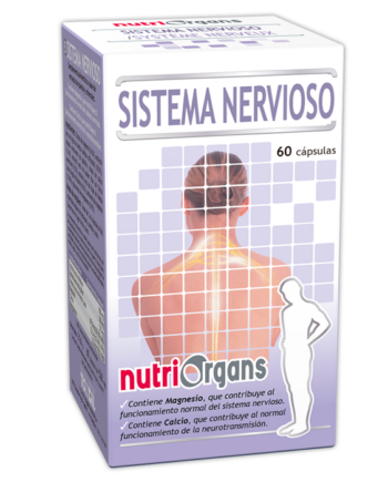 SISTEMA NERVIOSO
