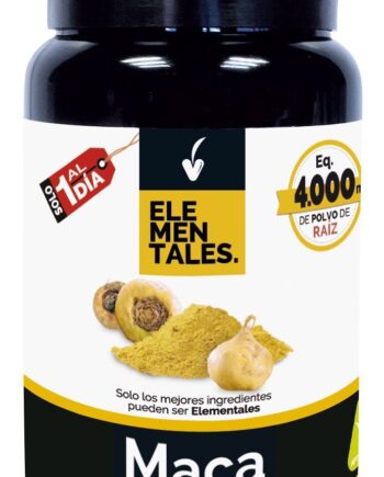 MACA