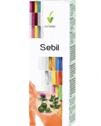 SEBIL