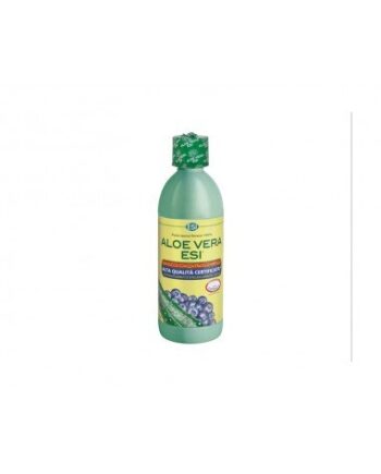 Aloe Vera Zumo Mirtilo (500 Ml)