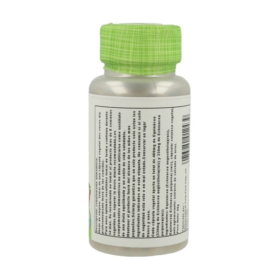 Echinacea