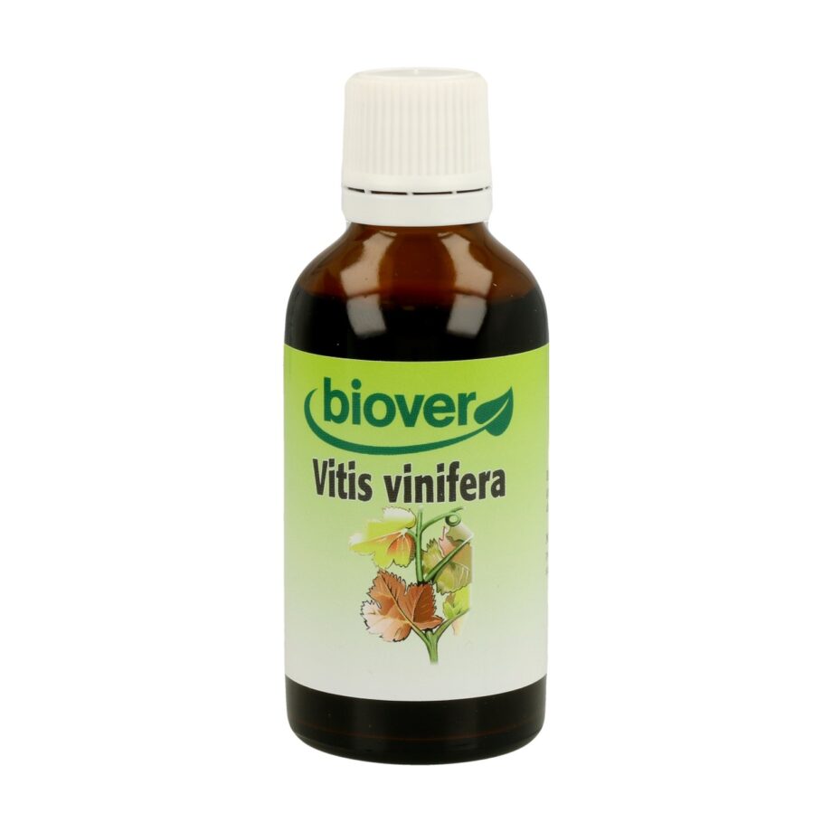 Vid Roja (Vitis Vinifera)