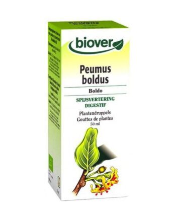 Peumus Boldus