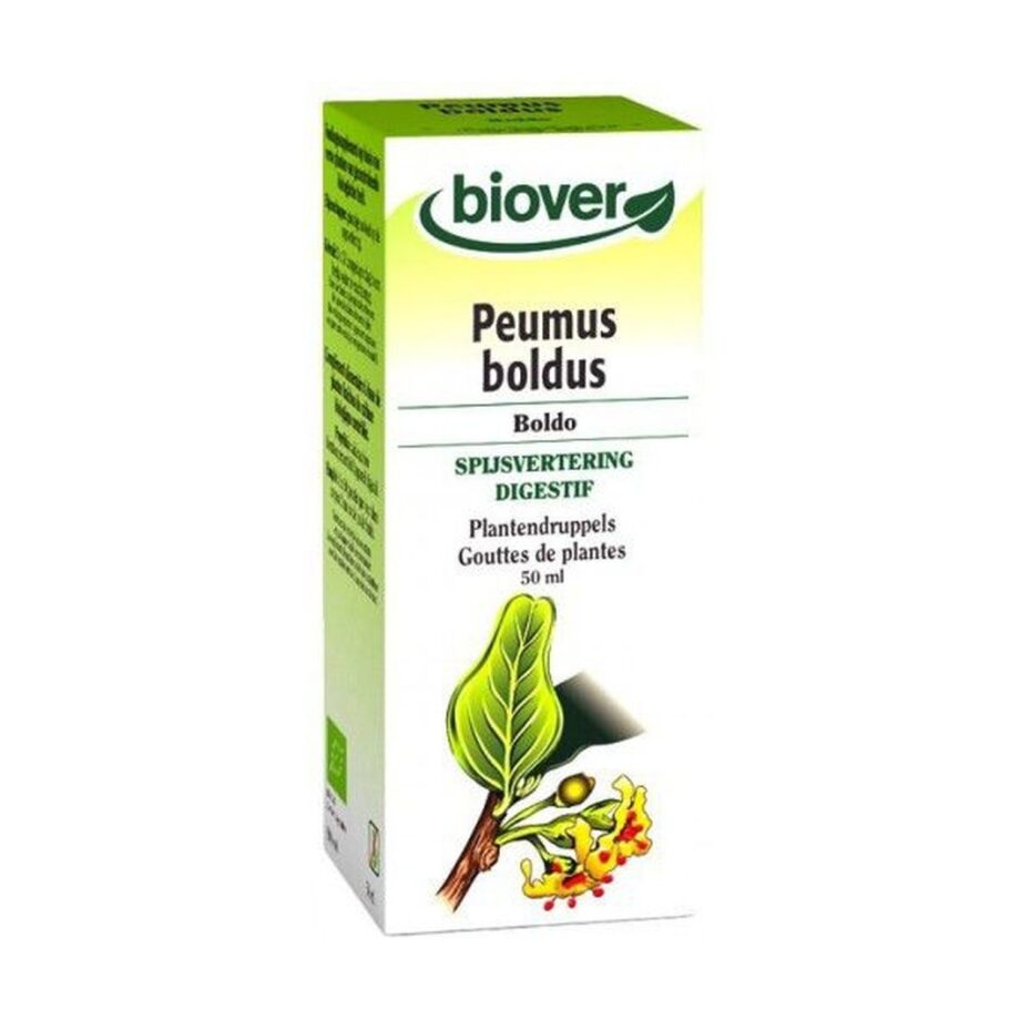 Peumus Boldus