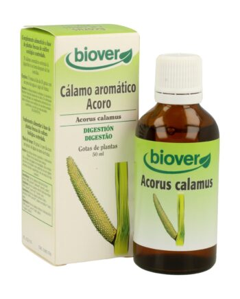 Acorus Calamus (Calamo) Tm