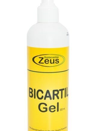BICARTIL GEL - ZEUS