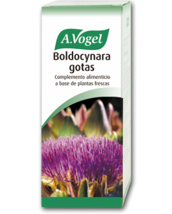 Boldocynara (100 Ml)