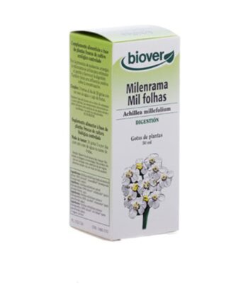 Achillea Millefolium (Milenrama)