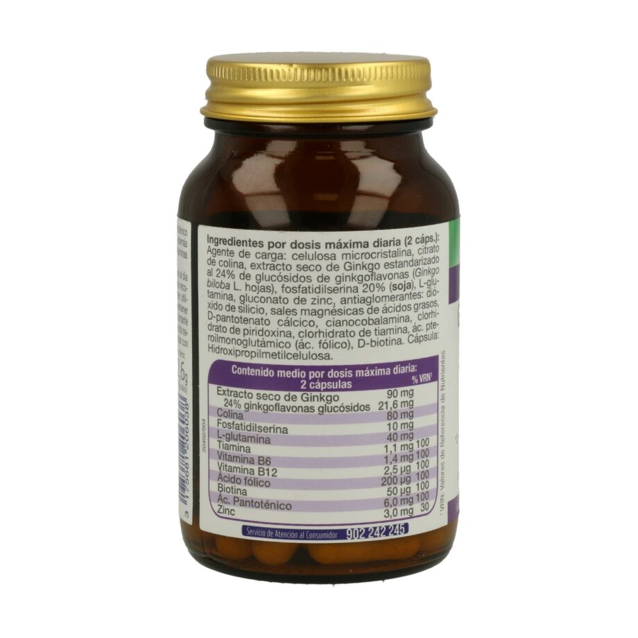 Mega Ginkgo Complex