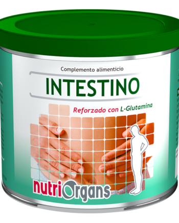 INTESTINO