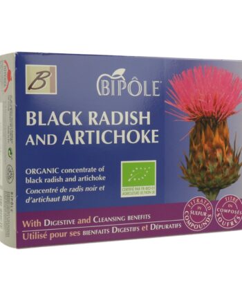 Rábano Negro y Alcachofa