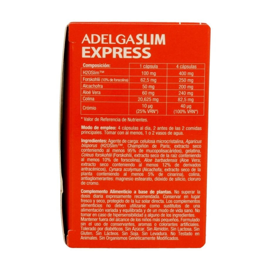 Adelgaslim Express