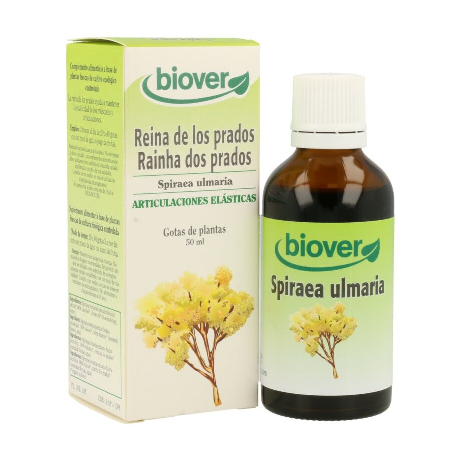 Spiraea Ulmaria (Reina de Los Prados)