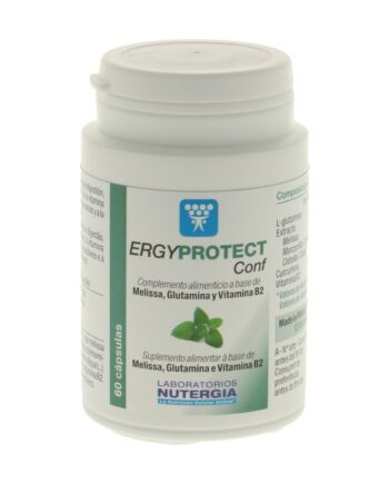 Ergyprotect Conf