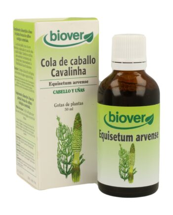 Equisetum Arvense (Cola de Caballo)