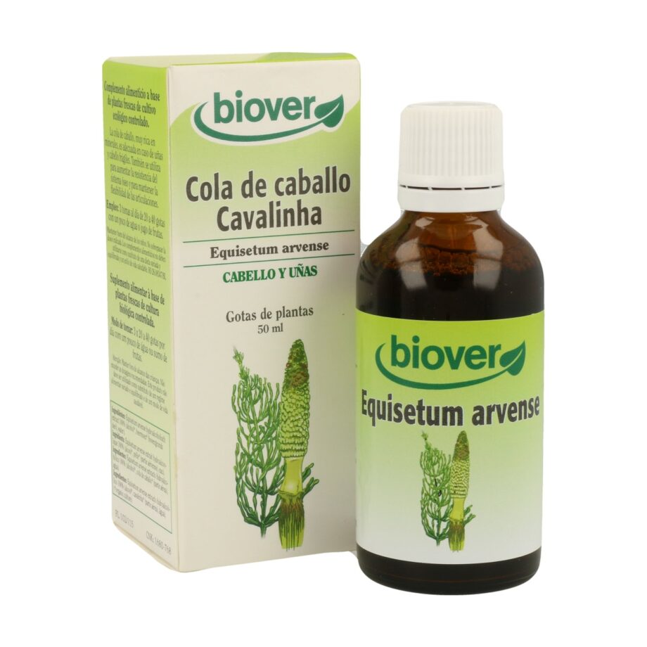 Equisetum Arvense (Cola de Caballo)