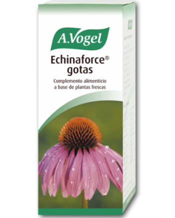 Echinaforce Gotas (100 Ml)