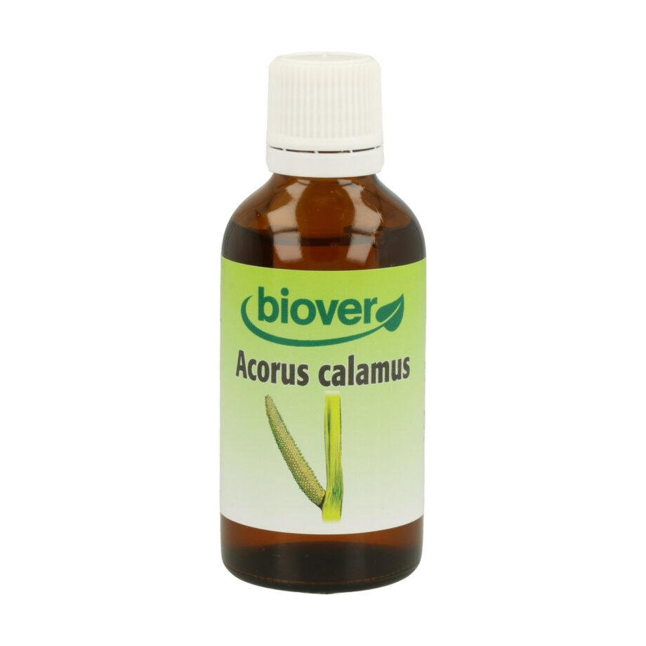 Acorus Calamus (Calamo) Tm
