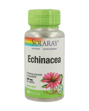 Echinacea